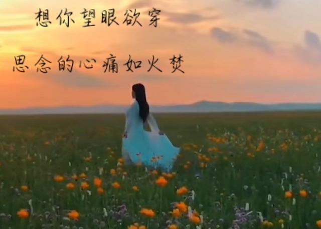 五月，是谁让我疼痛了思念