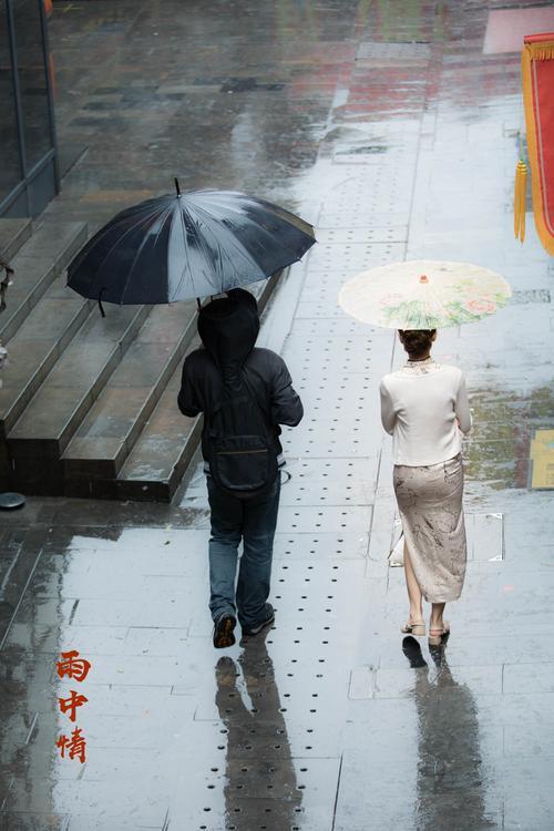 雨中情思