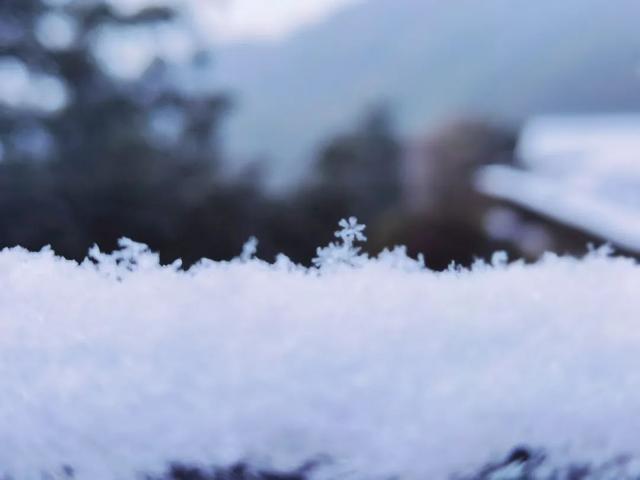 梦一场风花雪月